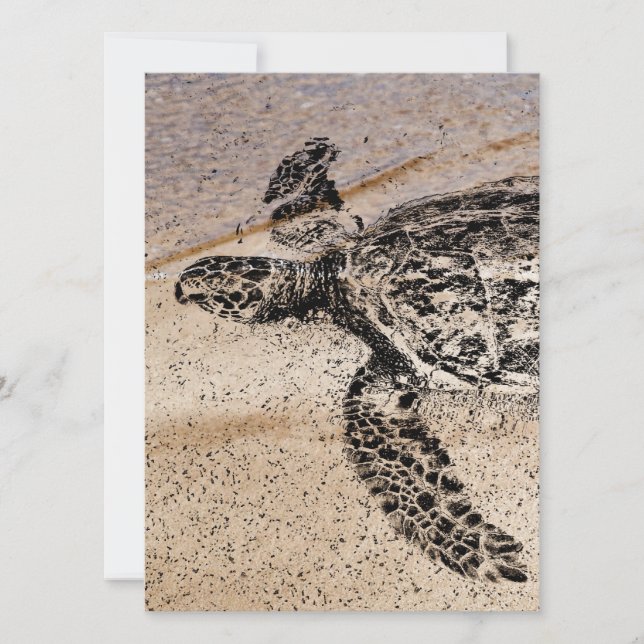Honu - Tortue de mer d'Hawaï (Devant)