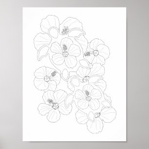 Honu Turtles Adultes Coloriage Poster