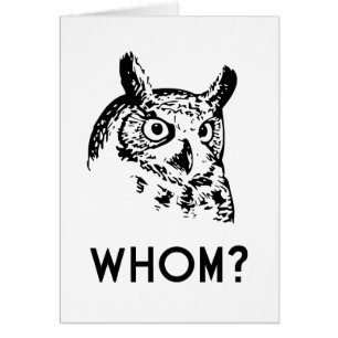 Hoo qui qui hibou de grammaire