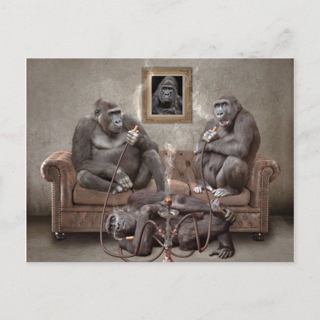 Hookah Fumer Apes Carte postale (Devant)