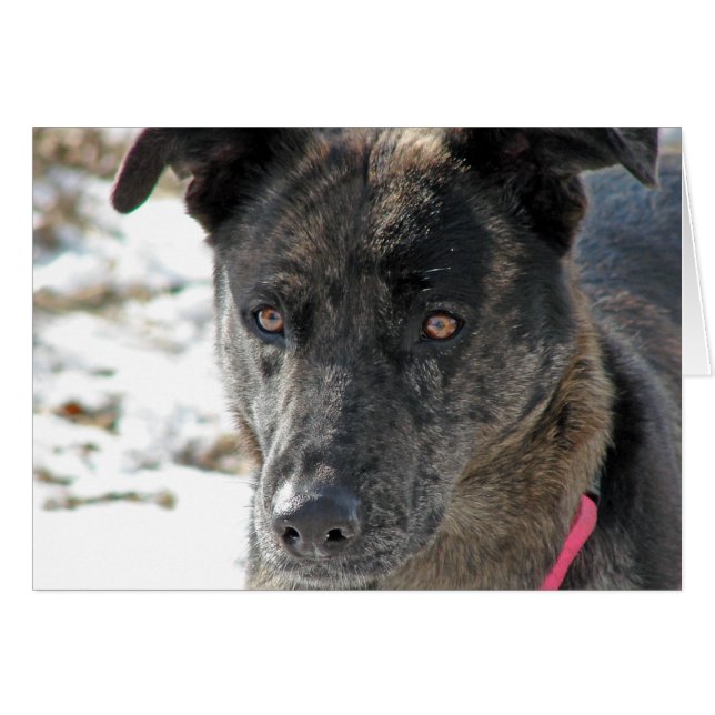 Hope (Devant horizontal)