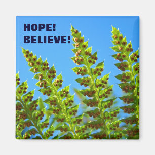 HOPE ! aimant CROIRE ! Forêt verte Fougères Feuill