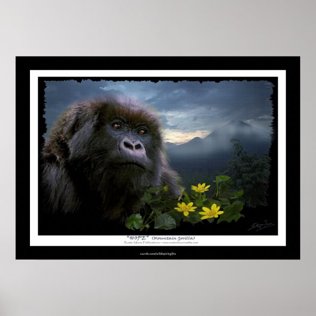 "HOPE" Mountain Gorilla Africa Wildlife Art Poster (Devant)