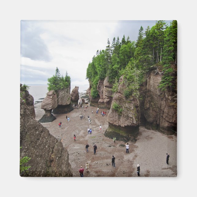 Hopewell Rocks Low Tide Canada Magnet (Devant)