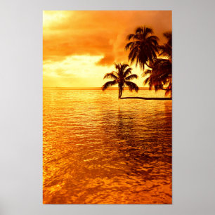 Horizontal palm tree sunset poster