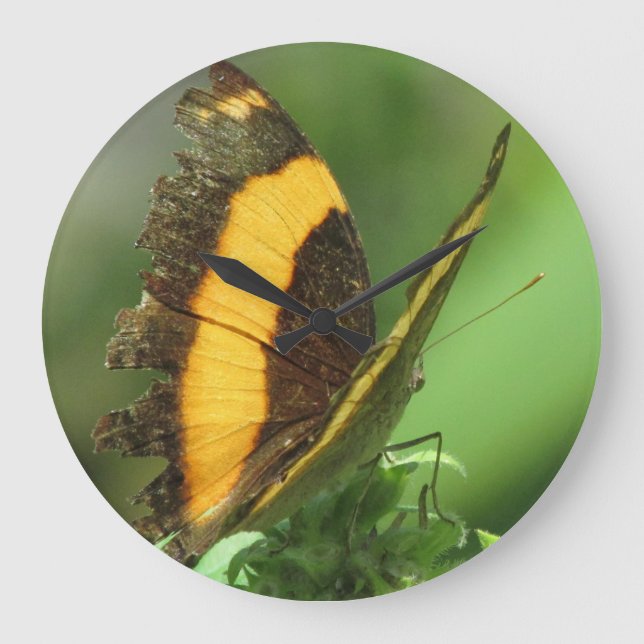 Horloge à papillon tropical jaune et noir (Recto)