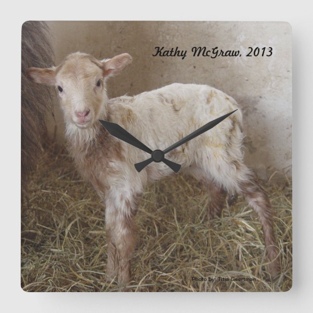 Horloge : agneau KathyMcGraw (Recto)