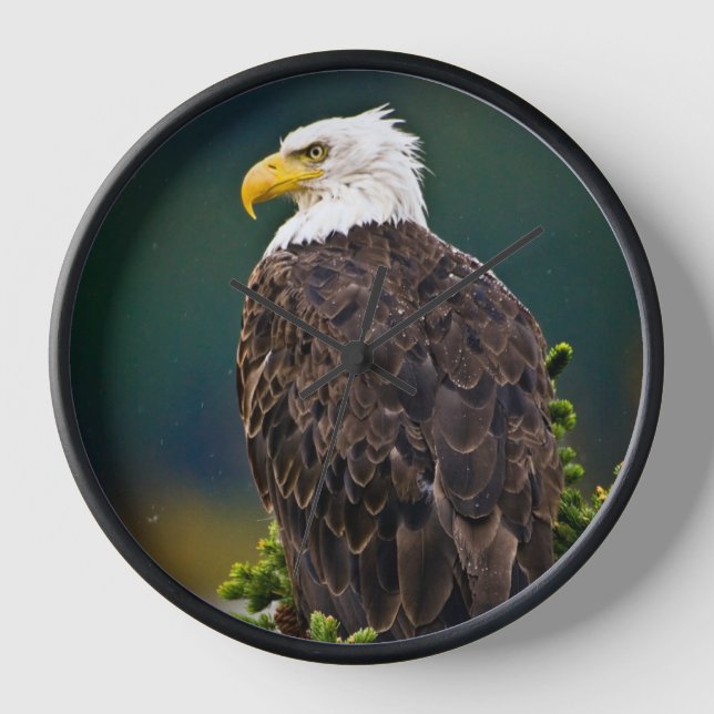 Horloge Aigle américain perché (Recto)