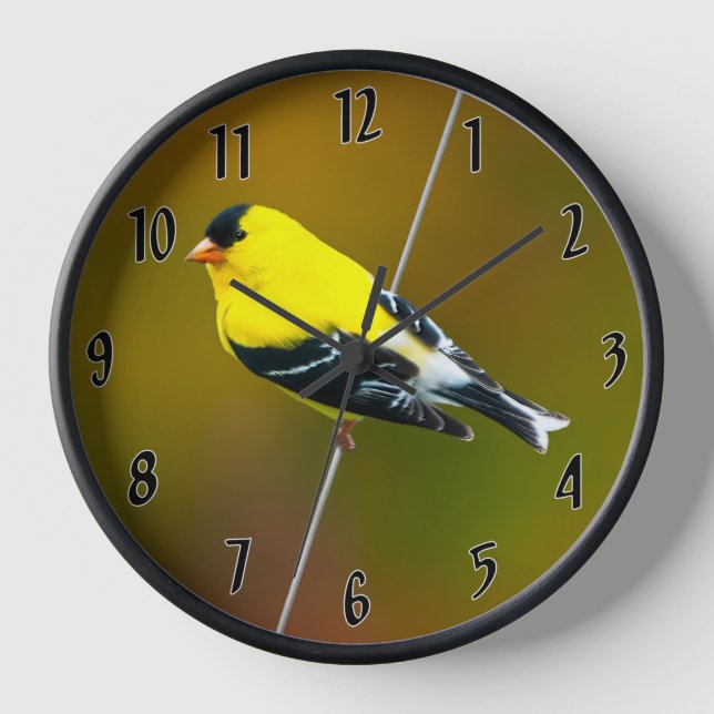 Horloge American Goldfinch - Photo originale (Recto)