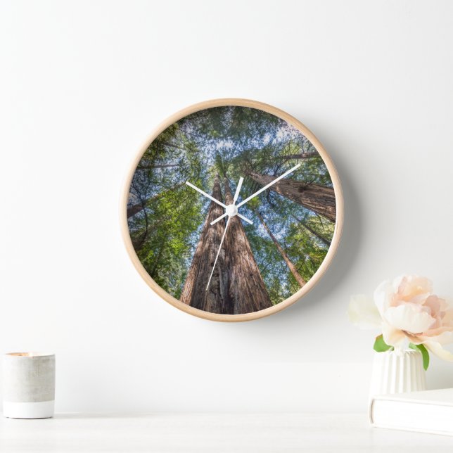 Horloge Arbres de séquoia | Comté de Marin, Californie (Maison)