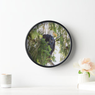 Horloge Bald Eagle perché dans Douglas Fir