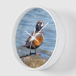 Horloge Beau canard arlequin sur les rives de la plage