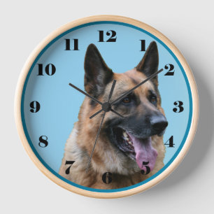 Horloge Beau chien berger allemand, arrière - plan bleu