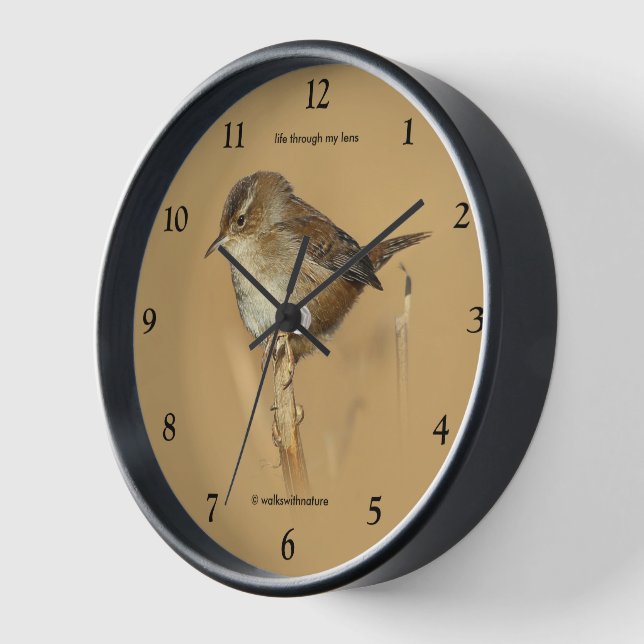 Horloge Beau oiseau-chanteur de marais Wren sur Branche (Angle)