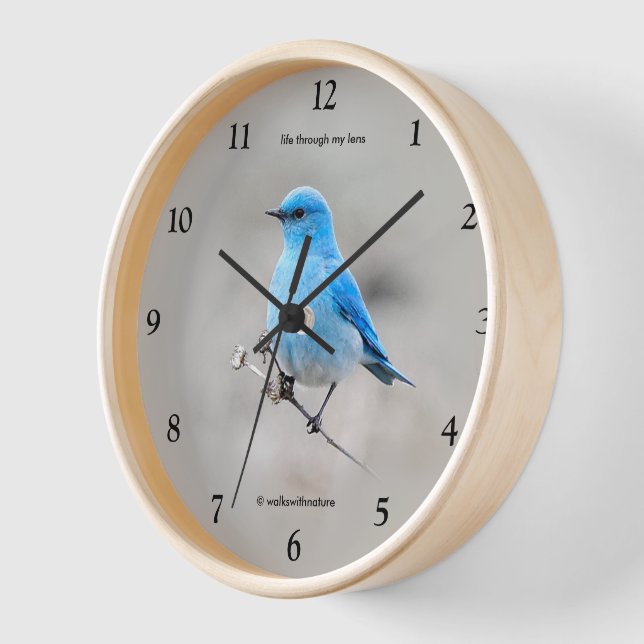 Horloge Beau oiseau chanteur de VTT sur Tansy (Angle)