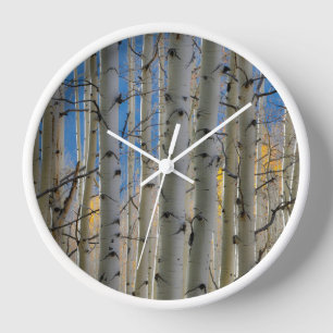 Horloge Bosquets de trembles Montagnes Rocheuses du Colo
