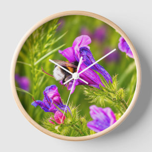 Horloge Bourdon en fleurs - Photographie de la nature et d