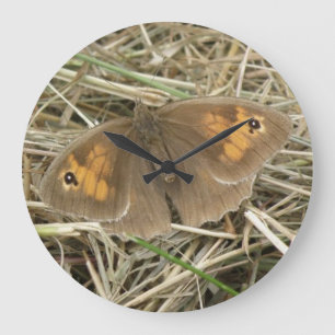 Horloge Brown de papillon de prairie