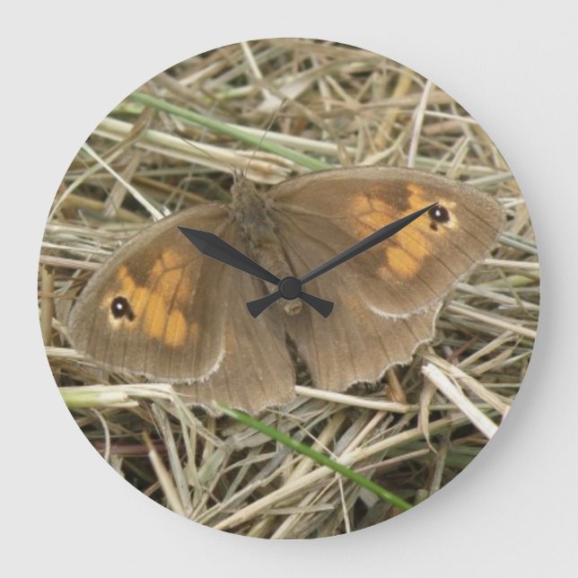 Horloge Brown de papillon de prairie (Recto)