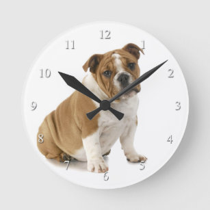 Horloge Bulldog