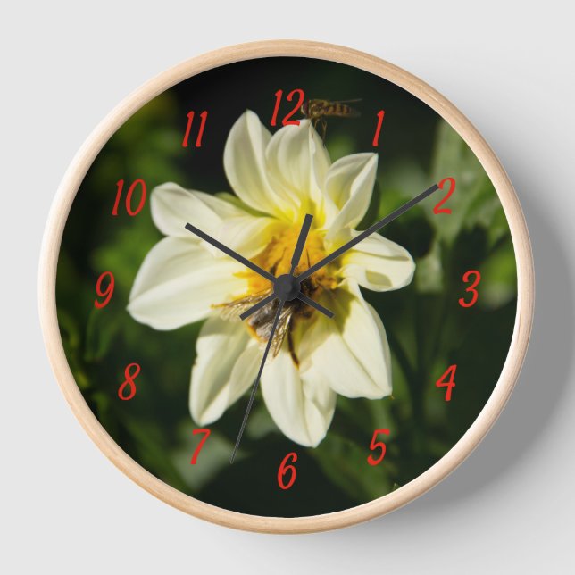 Horloge Bumblebee et dahlia blanc photo (Recto)