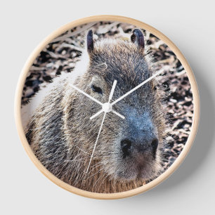 HORLOGE CAPYBARA ANIMAL SAUVAGE
