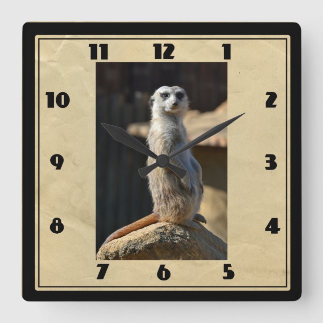 Horloge Carré Meerkat (Recto)