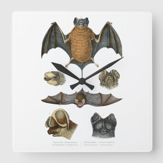 Horloge Carrée 19e impression de chaume C. (Recto)