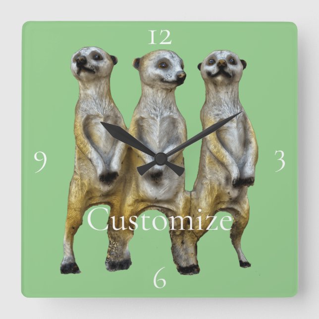 Horloge Carrée 3 Meerkats debats Thunder_Cove (Recto)