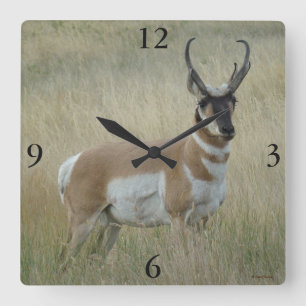 Horloge Carrée A8 Pronghorn Antelope Big Buck
