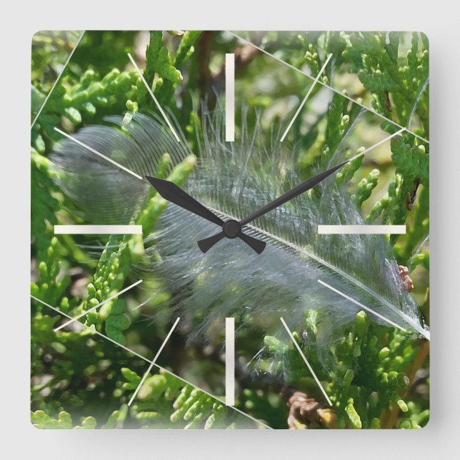 Horloge Carrée A stray feather (Recto)