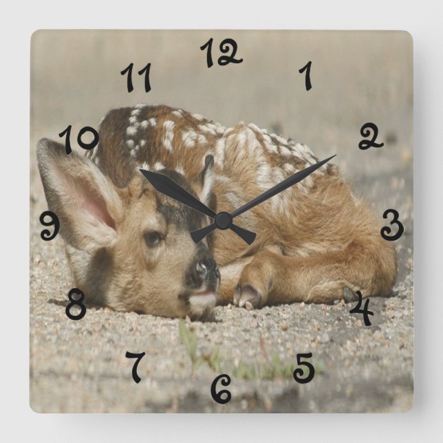 Horloge Carrée Adorable Baby Fawn (Recto)