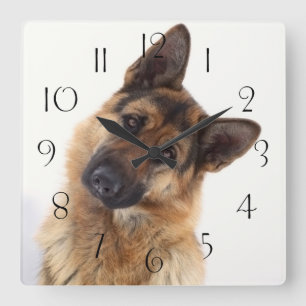 Horloge Carrée Adorable funny german shepherd portrait