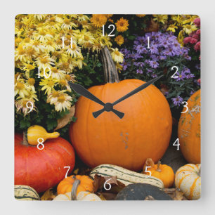 Horloge Carrée Affichage de citrouilles décoratives colorées d'au