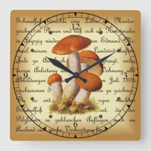 Horloge Carrée Albin Schmalfuß ~ Espenrotkappe1~ Champignons