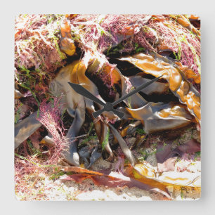 HORLOGE CARRÉE ALGUES