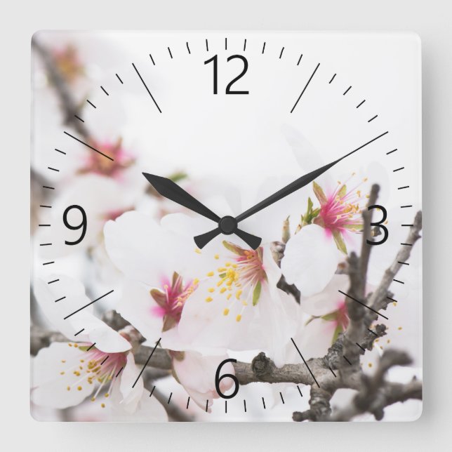 Horloge Carrée Almond blooming (Recto)