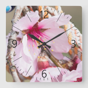 Horloge Carrée Almond blooming
