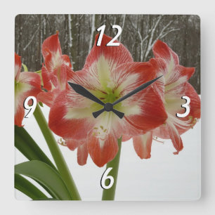 Horloge Carrée Amaryllis en Fête Rouge Neige Hiver Floral