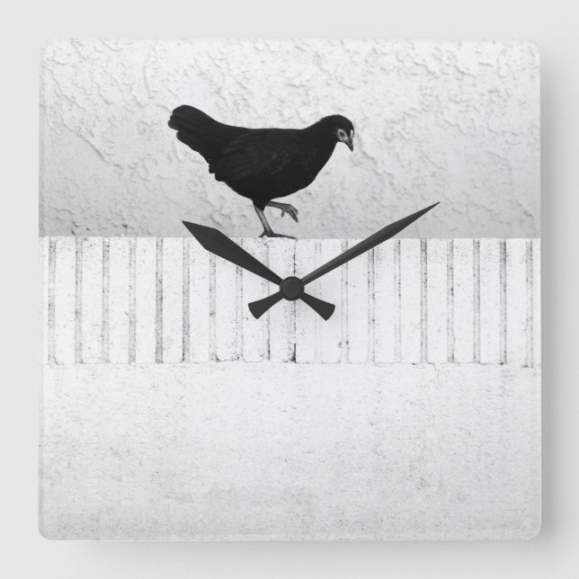 Horloge Carrée American Game Hen (Recto)