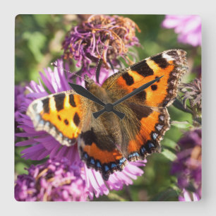 Horloge Carrée Amiral Rouge Butterly