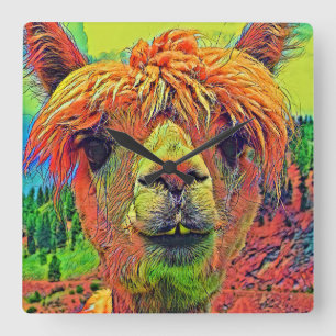 Horloge Carrée AnimalColor_Alpaca_003