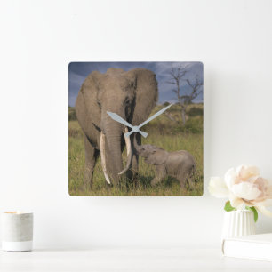 Horloge Carrée Animaux de bébés cutest   Amama Elephant Avec Bébé