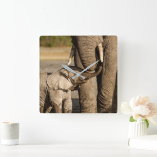 Horloge Carrée Animaux de bébés cutest   Baby Elephant & Mama
