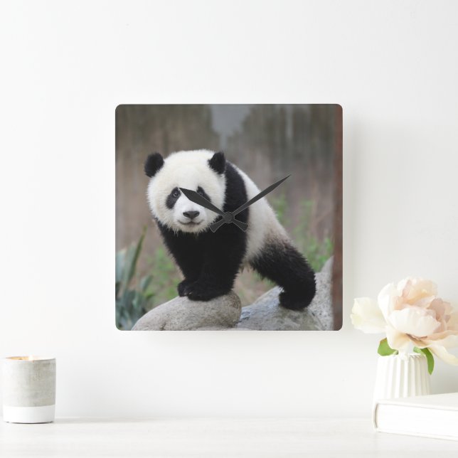 Horloge Carrée Animaux de bébés cutest | Baby Panda géant (Maison)