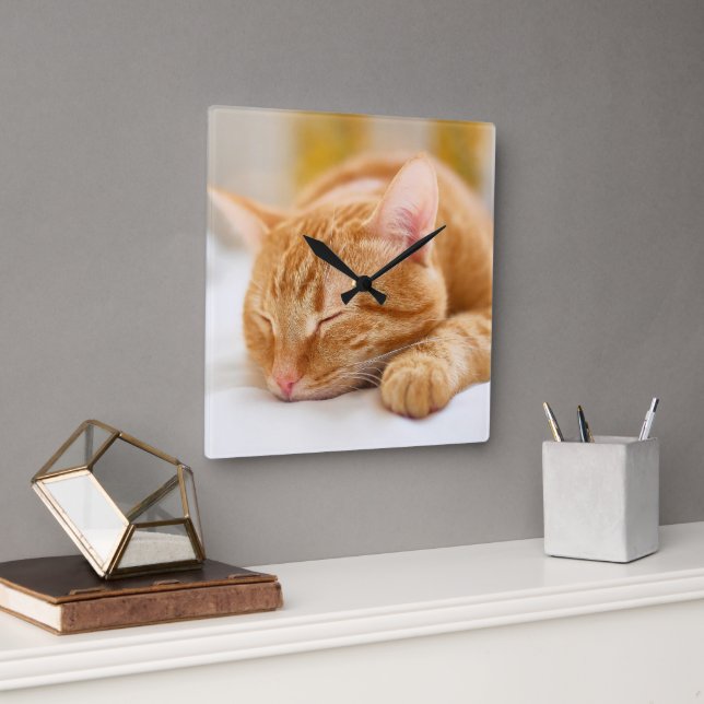 Horloge Carrée Animaux de bébés cutest | Chat de gingembre dorman (Bureau)