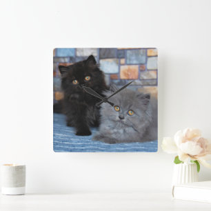 Horloge Carrée Animaux de bébés cutest Chatons persans sur couv
