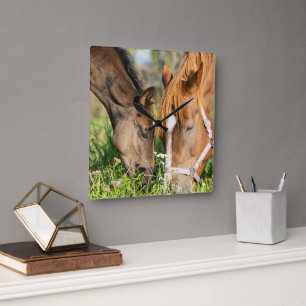 Horloge Carrée Animaux de bébés cutest   Colt à cheval