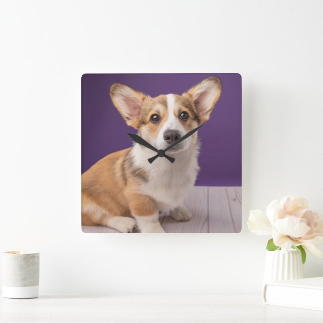 Horloge Carrée Animaux de bébés cutest | Corgi Chiple sur Purple (Maison)