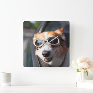 Horloge Carrée Animaux de bébés cutest   Corgi lunettes dans la v